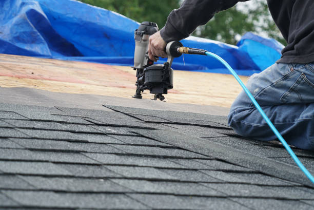 Best Roof Repair Services  in Barbourville, KY