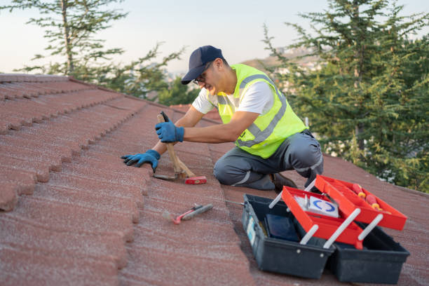 Best Shingle Roofing Installation  in Barbourville, KY